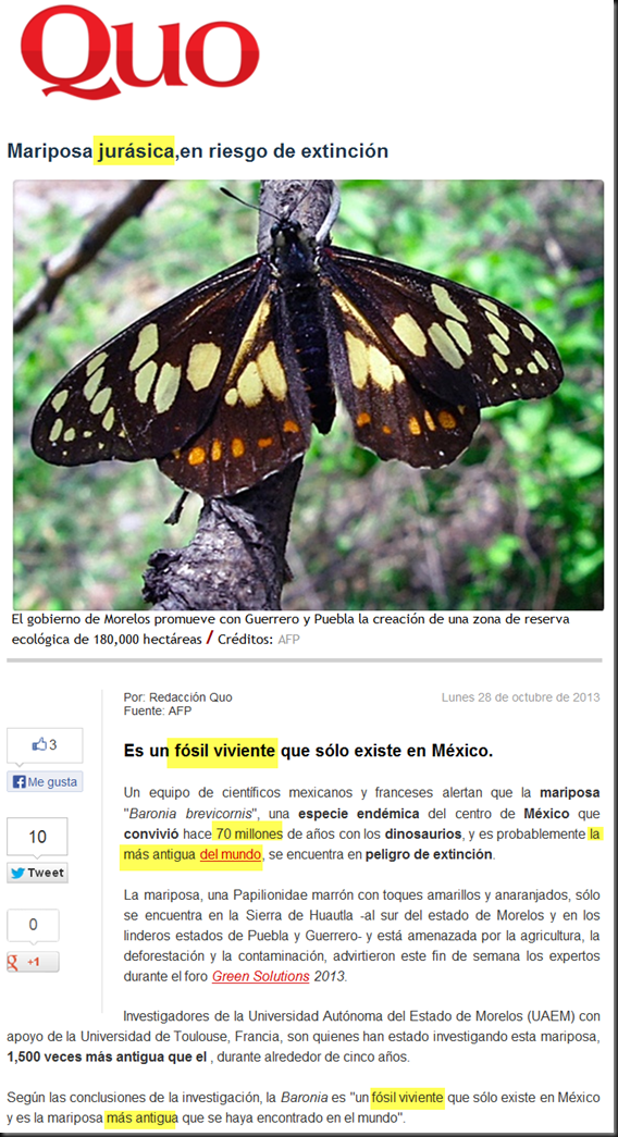 La mariposa más antigua no ha evolucionado Image_thumb7